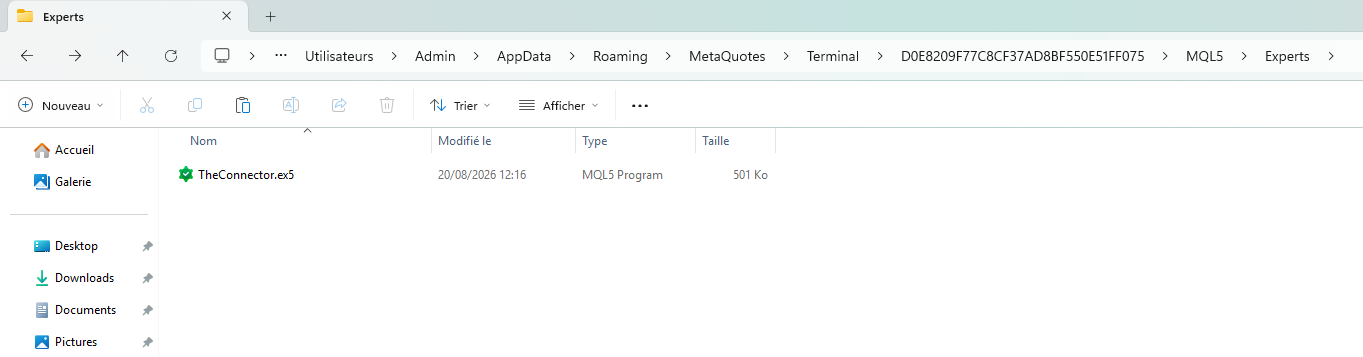 Le fichier déposé dans `MQL5/Experts`